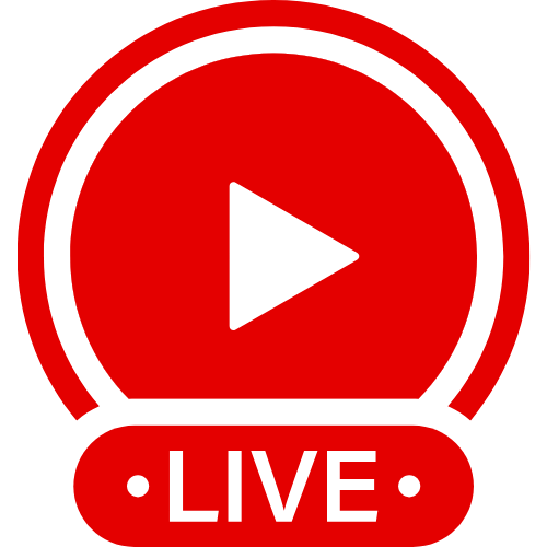 Anal Beads Large | Live Webcam Shows & Interactive Adult Entertainment